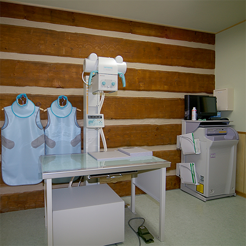 X線室 ダブテイルログハウス 動物病院