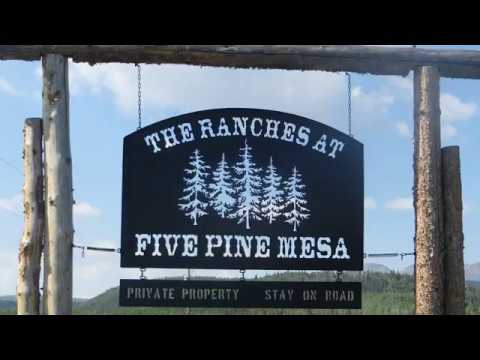 Five Pines Mesa Summer Video